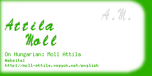 attila moll business card